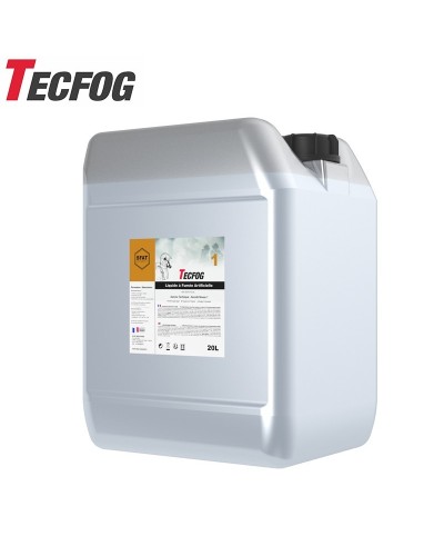 TECFOG 1